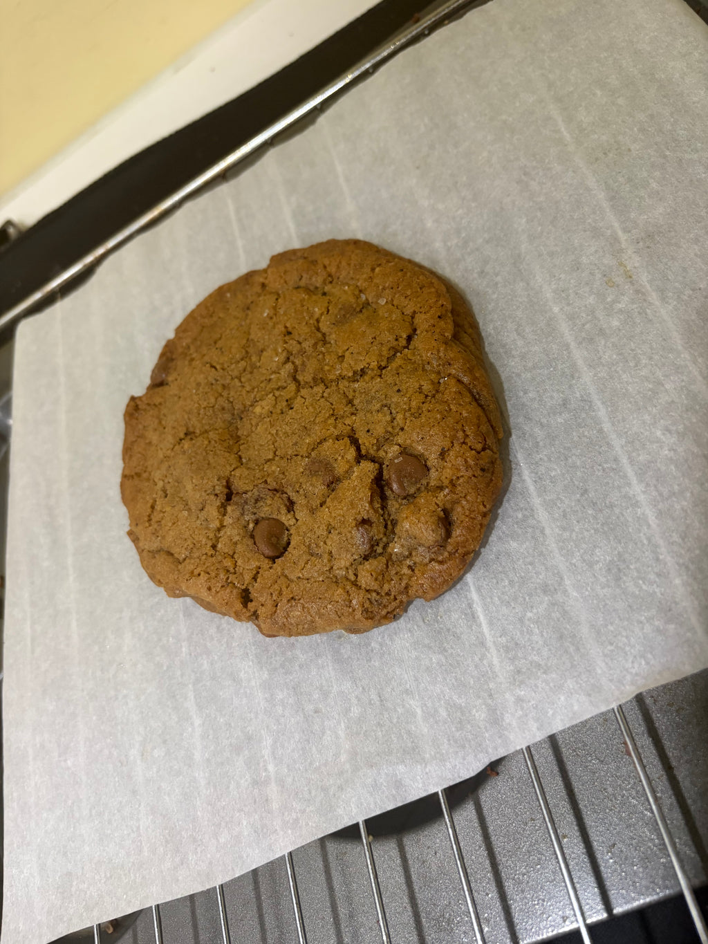 OG Chocolate Chip